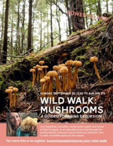 Wild Walk: Mushrooms - A Foraging Excursion