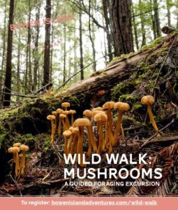 Wild Walk: Mushrooms - A Foraging Excursion