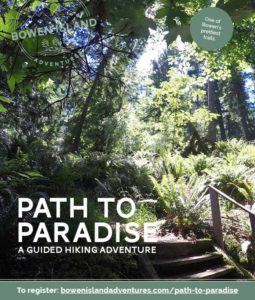 Path to Paradise - Hiking Adventure