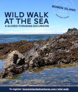 Wild Walk at the Sea - Foraging Excursion